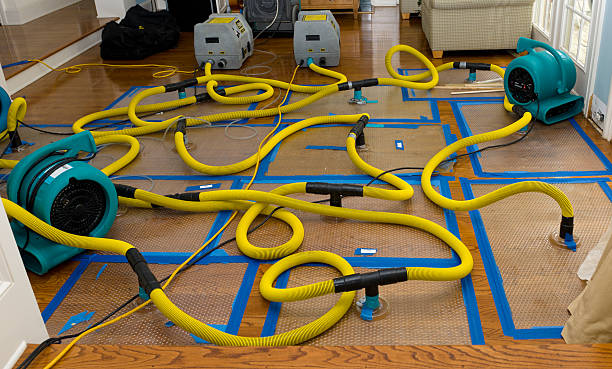 Professional Sewage Cleanup technician working in Tiro, OH